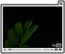 Video Ligtbox Embed Video Html