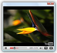 Adding Streaming Video To My Website Embed Video Html